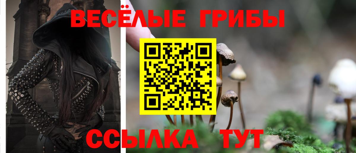 Галлюциногенные грибы Cubensis  Вход с VPN  Волхов 